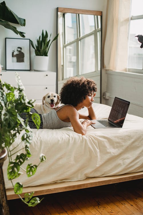 girl looking at laptop